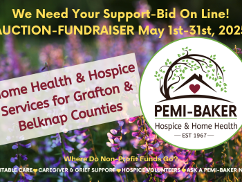 Pemi-Baker auction