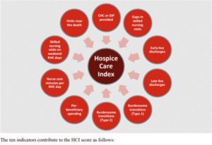 HCI Hospice Care Index Score